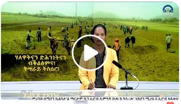 ማሕበር ልምዓት ኢሮብ (ማ.ል.ኢ.) ኣብ ሰሜን ኣሜሪካ  ንተፈናቐልቲ ኢሮብ ዝውዕል ልዕሊ 3 ሚሊዮን ብር ሓገዝ ገይሮም